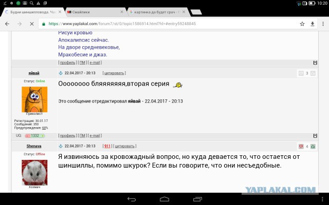 Как пи*деть и не краснеть (с) Шиншилловод