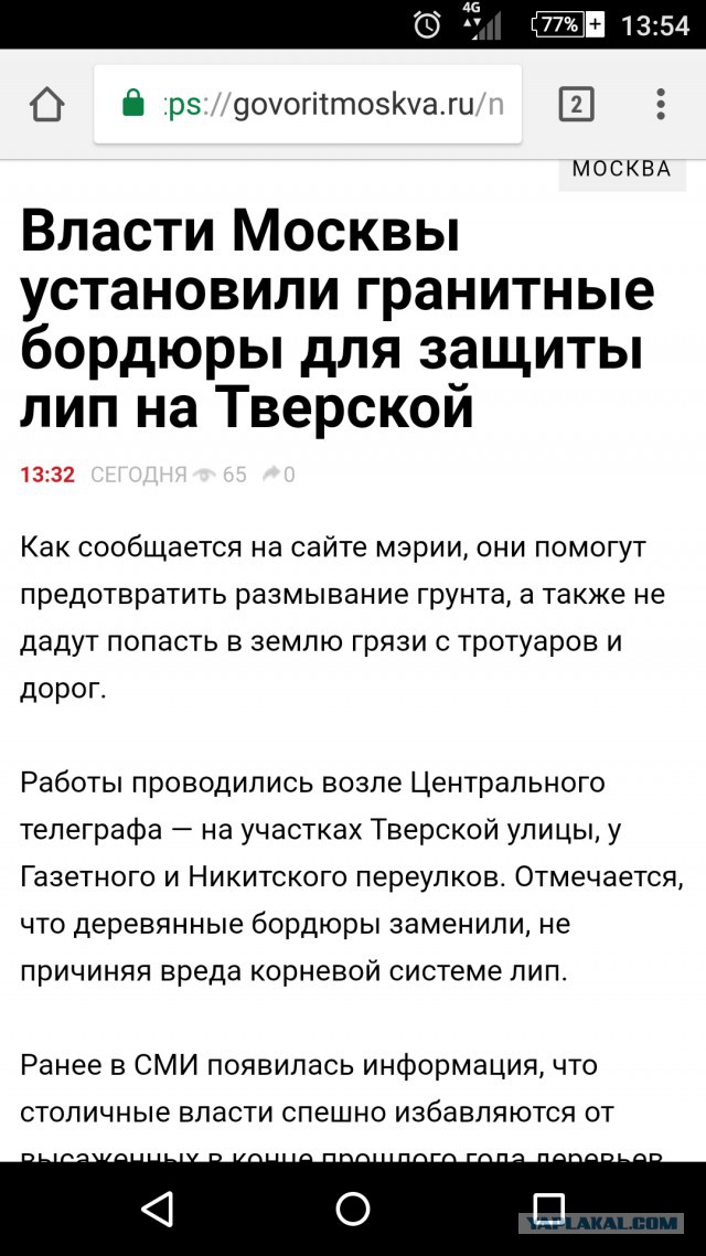 Липы на тверской по 200 тыс. за дерево