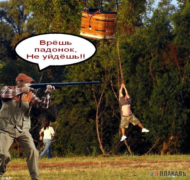 Шарик сбежал!
