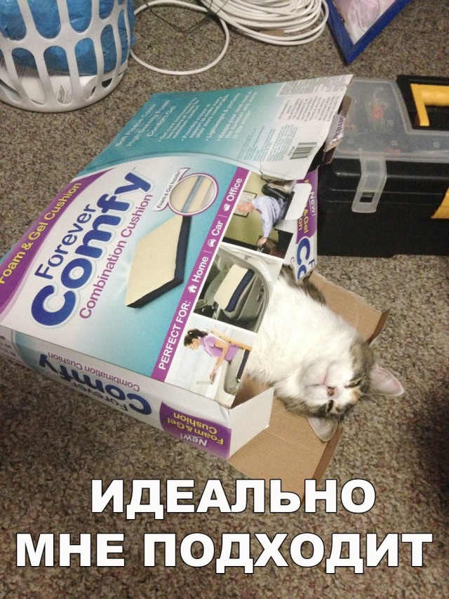 Нестандартный юмор