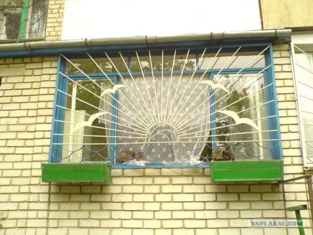 Ура, котовторник! (01.07.2008)