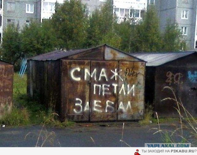 «Бродячие» философы: 17 глубокомысленных заметок в транспорте и на улицах