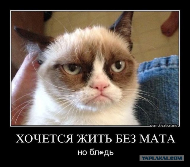 Каждый пятый россиянин ежедневно ругается матом. Так говорит последний опрос ВЦИОМ