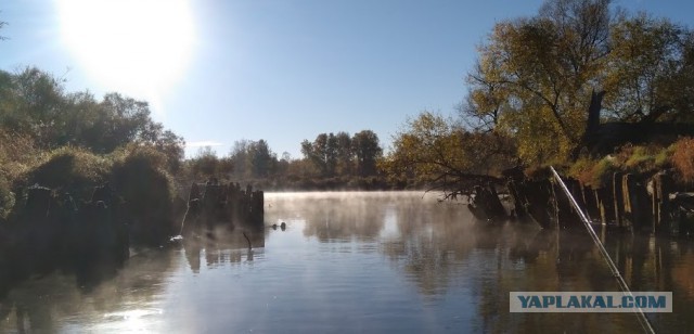 Соскучился по рыбалке