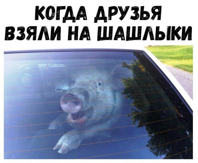 Немного картинок для настроения