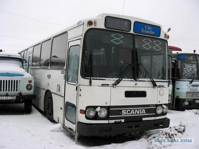 Игра на ЯПе: Угадай АВТО-3