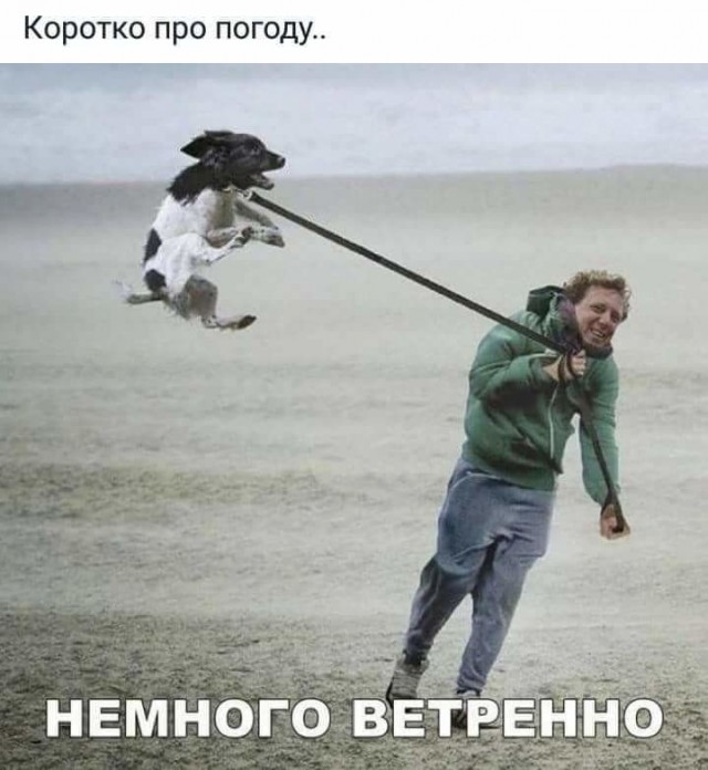 По всем центральным каналам! Кроме РЕН-ТВ.