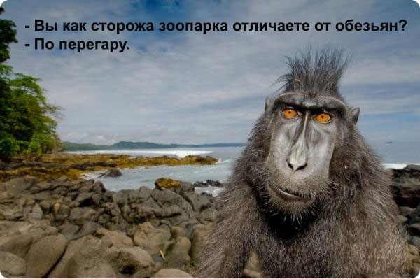 Картинки разные атавсюду...