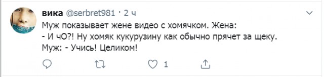 Смешные комментарии из социальных сетей 20.09.2019