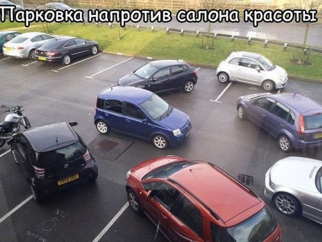 Давайте чуточку развеемся. Оффтоп