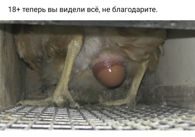 Даёшь картинкой по понедельнику