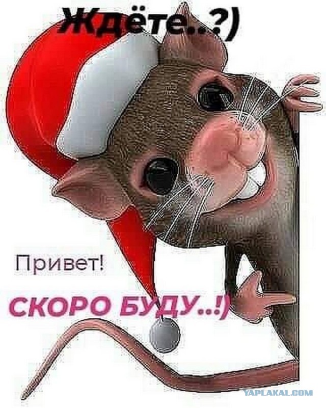 Дорогие ЯПовцы, неЯПОвцы, сочувствующие и просто читающие мимоходом - с наступающим 2020-м годом!