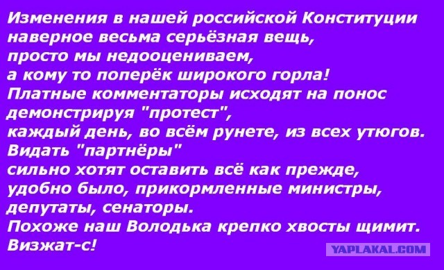Как я вижу внесение поправок в Конституцию