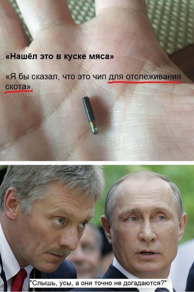 Чипизация