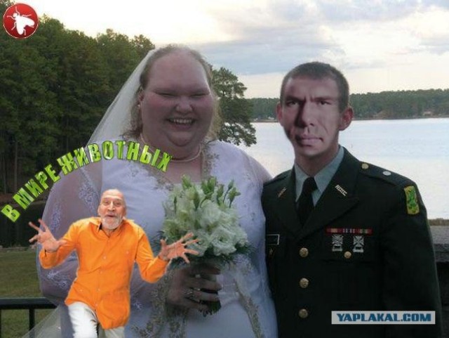 Фотожаба: ТВ программа