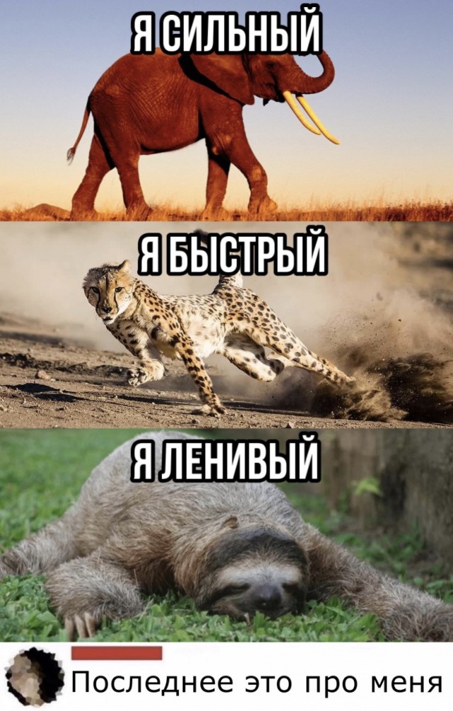 Бредзона 06.07.2020