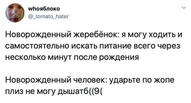 Юмор из соцсетей