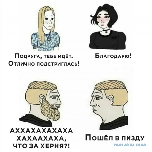 Немного картинок для настроения 07.11.20