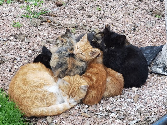 Когда фотографируешься на паспорт