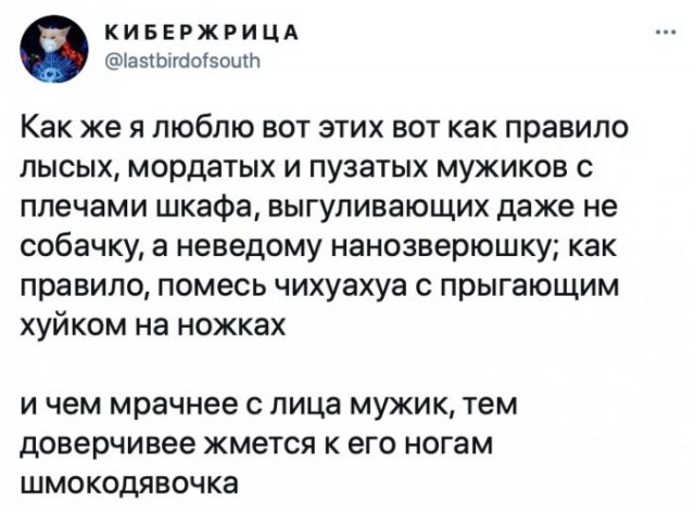 Картинки и мемы для настроения