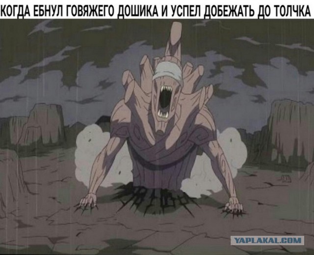 Весёлый полтишок 8.06.21