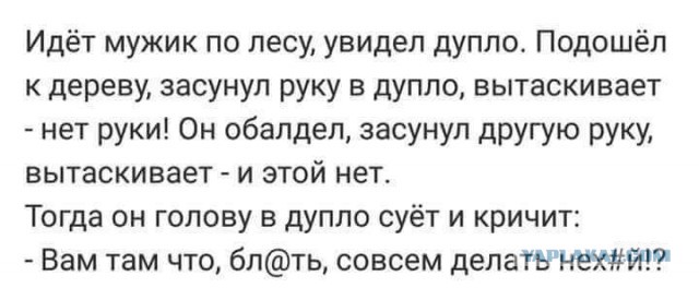 Написано же : «не заглядывать!»