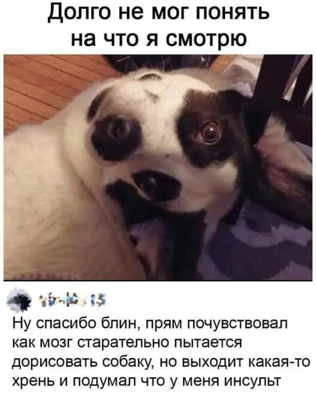 Чуток картинок 30.12.21