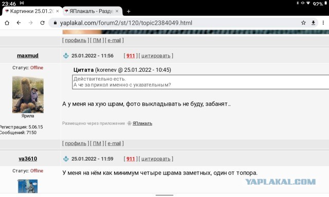 Картинки 25.01.2022
