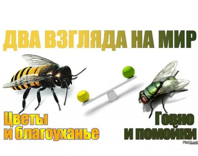 Пандемия. Коронавирус и съехавшие крыши. Россия и мир. Часть 32.