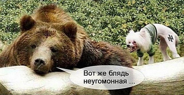 Пандемия. Коронавирус и съехавшие крыши. Россия и мир. Часть 34.