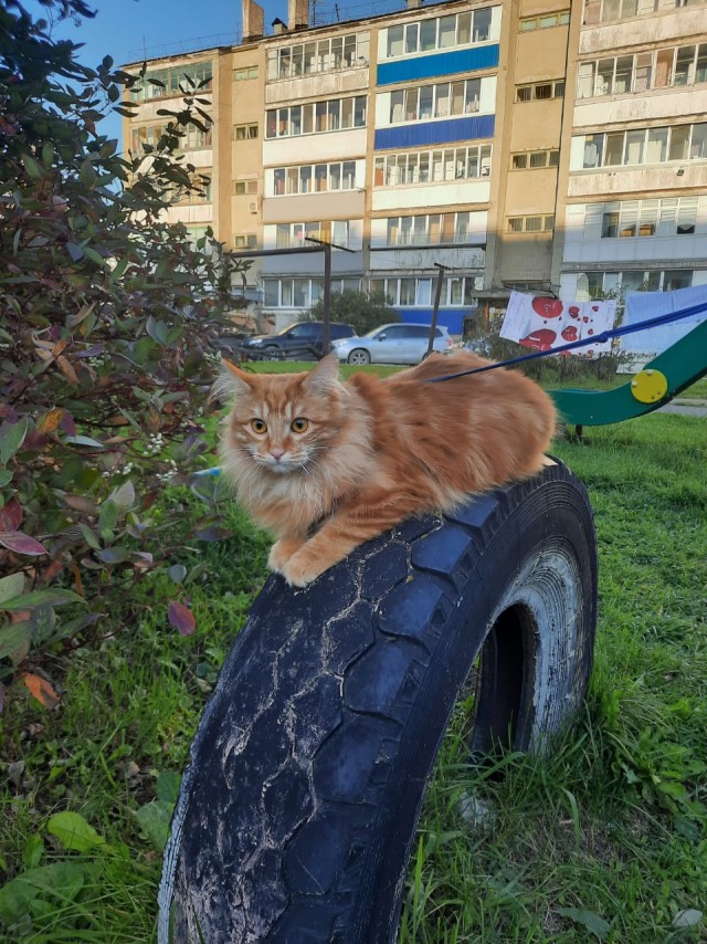 У кого так же?