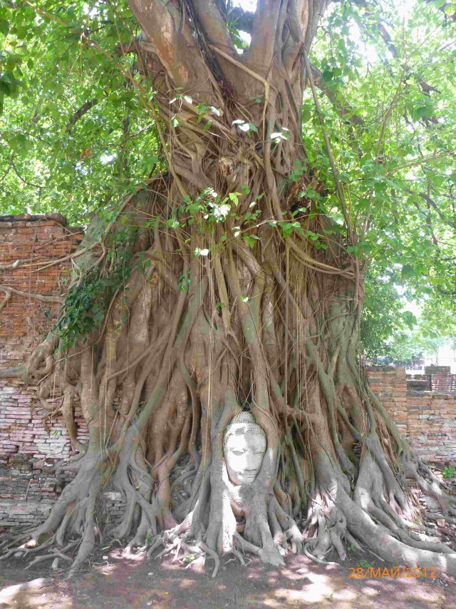 Путешествие в Таиланд.