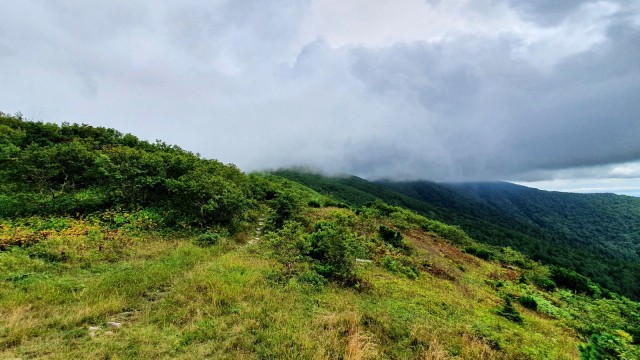 Сахалин, Кунашир и Камчатка за две недели.