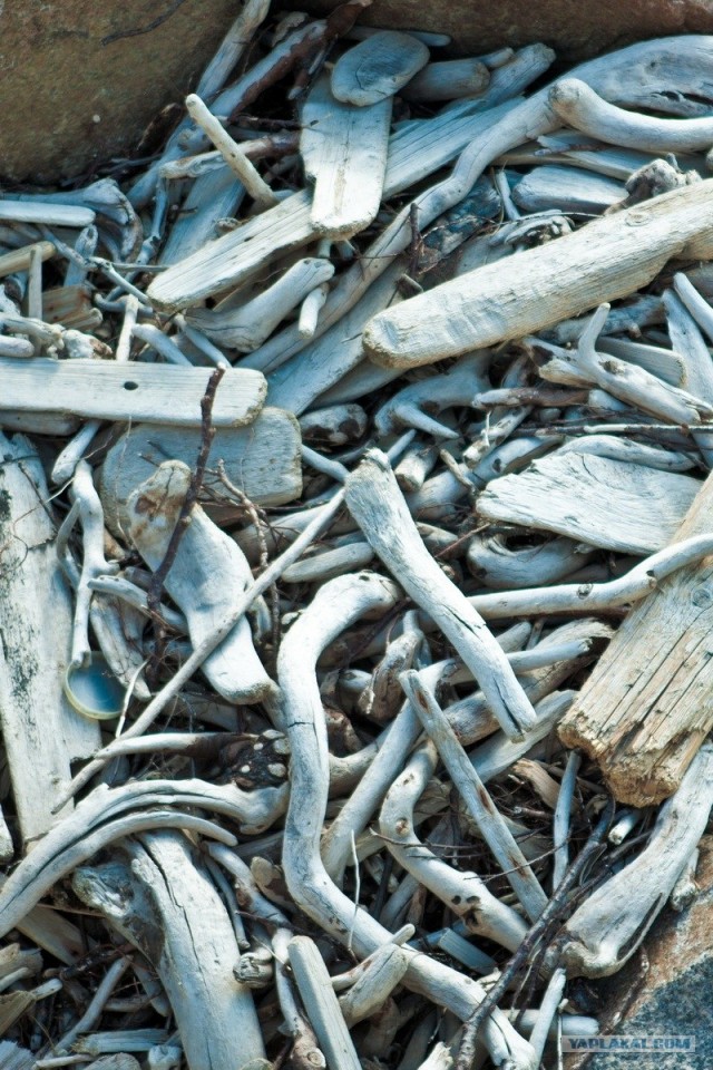 Териберка и окрестности...