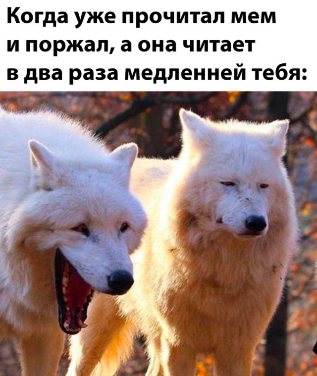 Картинки и мемы для настроения - 133
