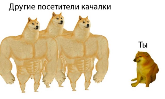 "Кто ты, тварь", сборник мемов про качков