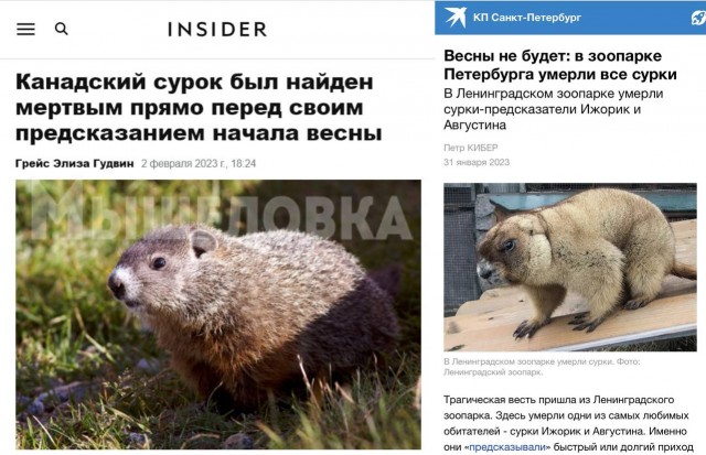 Победная поступь идиотизма по планете – том 7