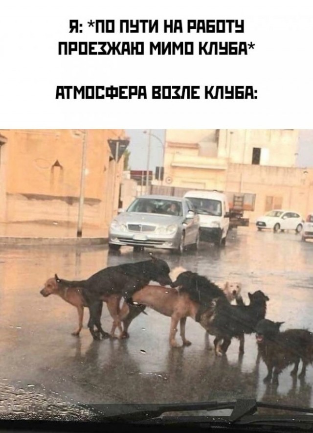 Картинки и мемы для настроения - 131