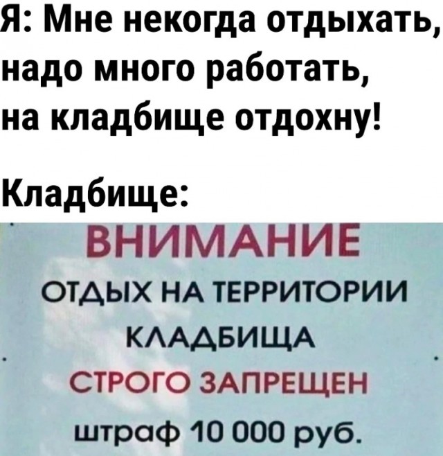 17724758.jpg