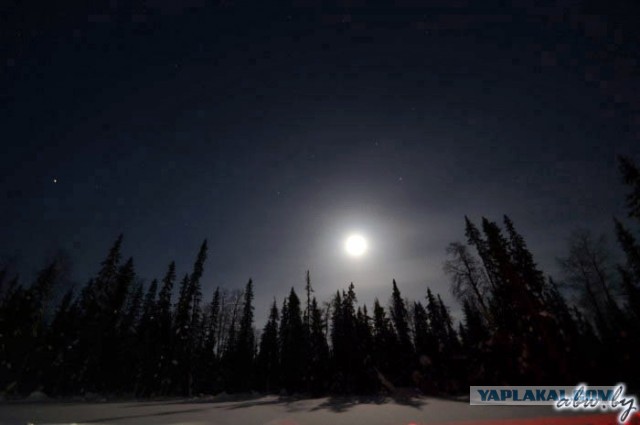 Дорога, которой нет: зимник Вуктыл - Воркута