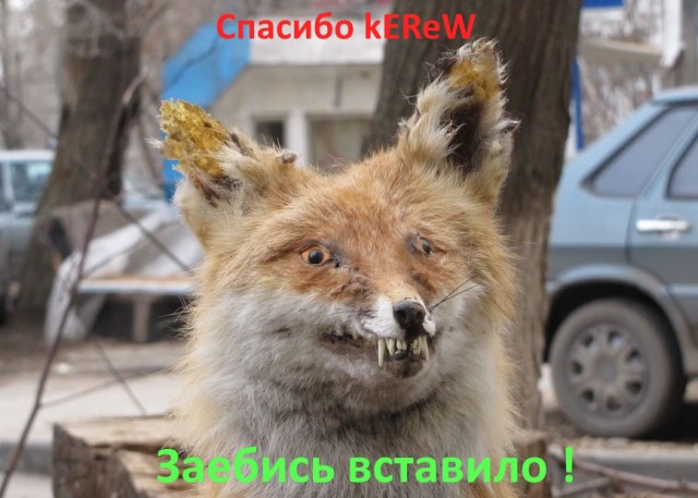 Напишем код