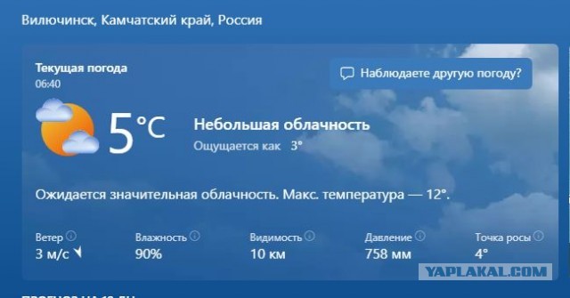 Чуток картинок 25.05.23