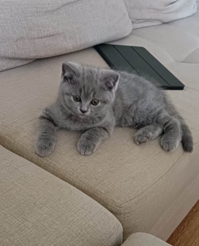 Ну вот и я стал рабом.