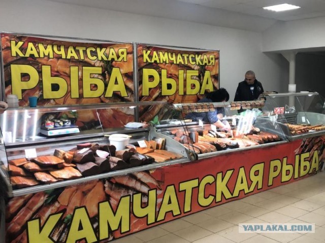 Япония начнет сброс воды с АЭС «Фукусима-1» 24 августа