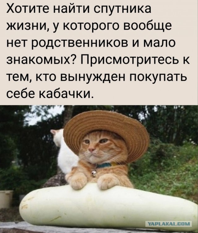Без врага жизнь скучна, а с врагом - интересна