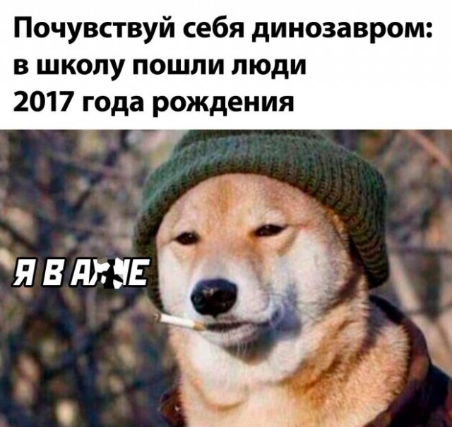Народная меДИЧина 6029