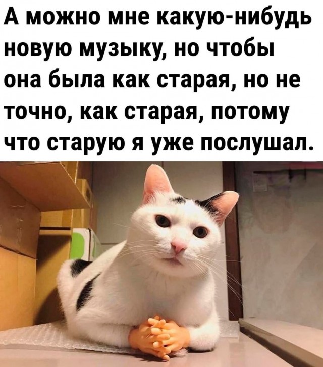 Весёлый полтишок 24.12.23