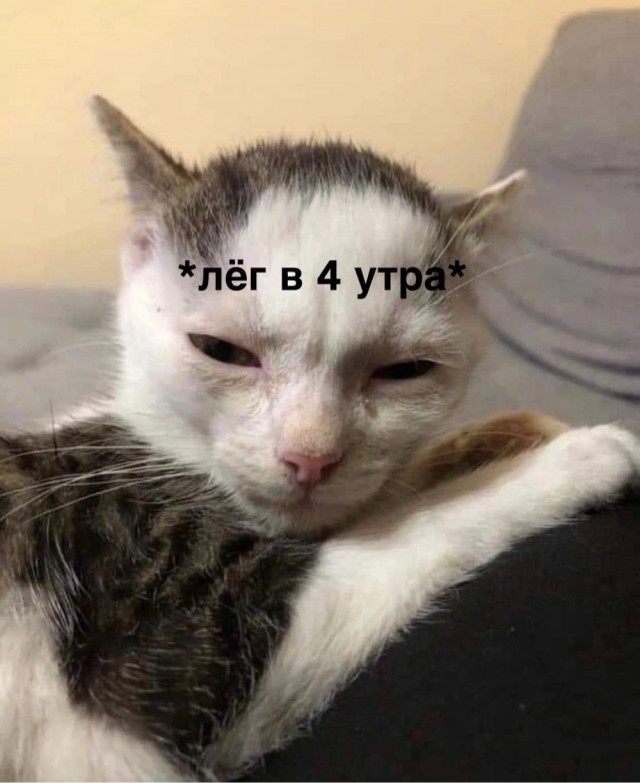 Нуштош 18.05.2024