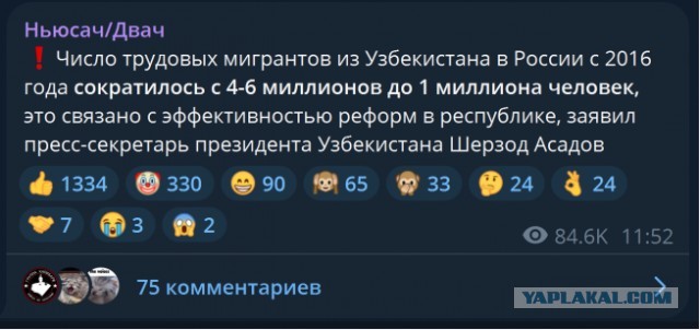 Москва стала аулом для бородачей