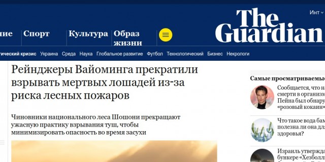 Американским рейнджерам запретили взрывать мертвых лошадей